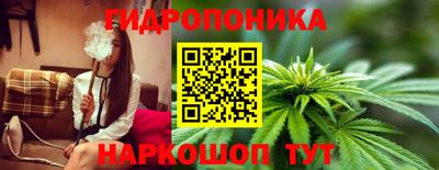 крисы Нарткала