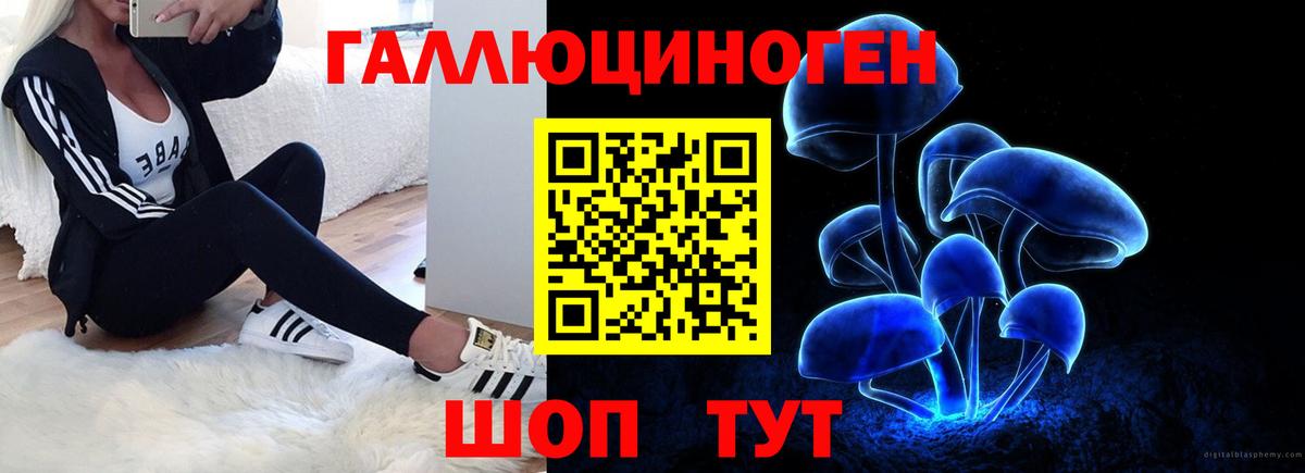 Галлюциногенные грибы GOLDEN TEACHER  Вход с VPN  Псилоцибиновые грибы Cubensis  Орск 